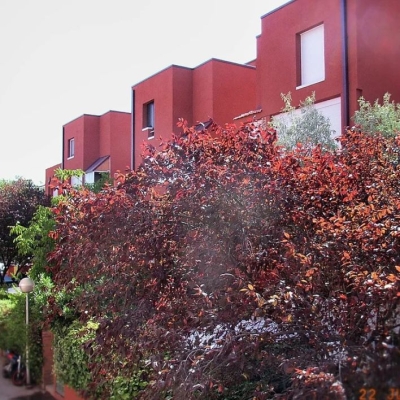 Rehabilitación barrios<br>Colonia Pablo Iglesias, Rivas Vaciamadrid